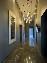 Skysuites@Anson (D2), Apartment #545301631